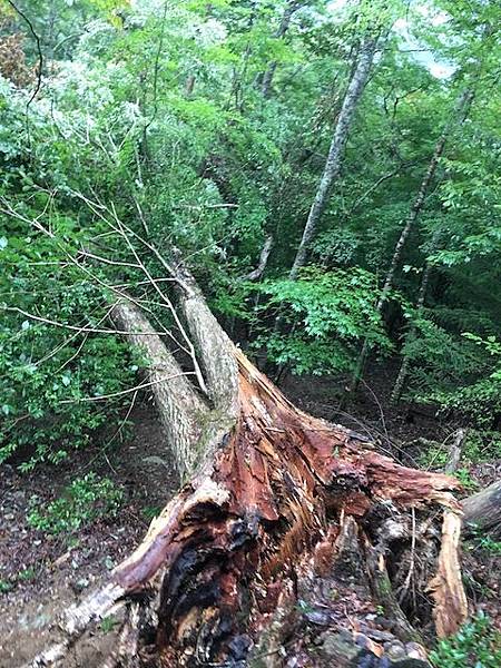 IMG_8294.jpg IMG_8294.jpg