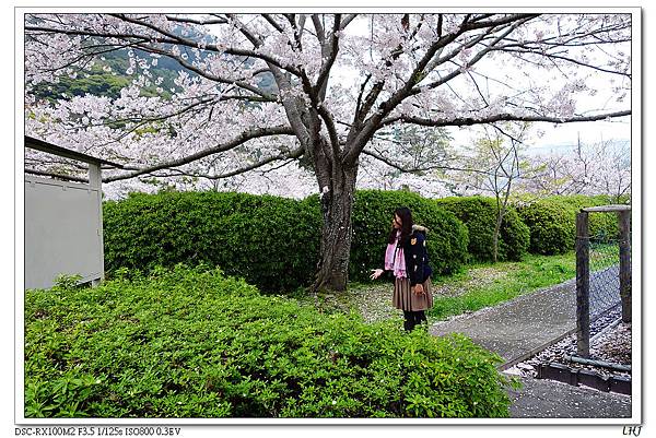 140405_錦帶橋