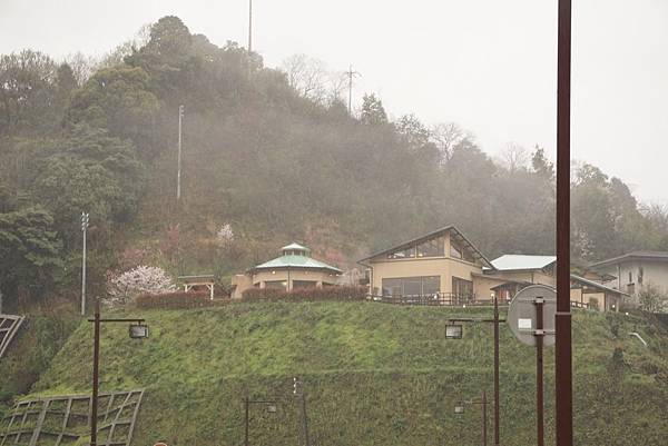 150404_錦帶橋（雨中賞櫻）