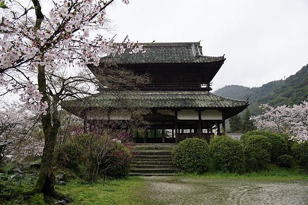 150404_錦帶橋（雨中賞櫻）