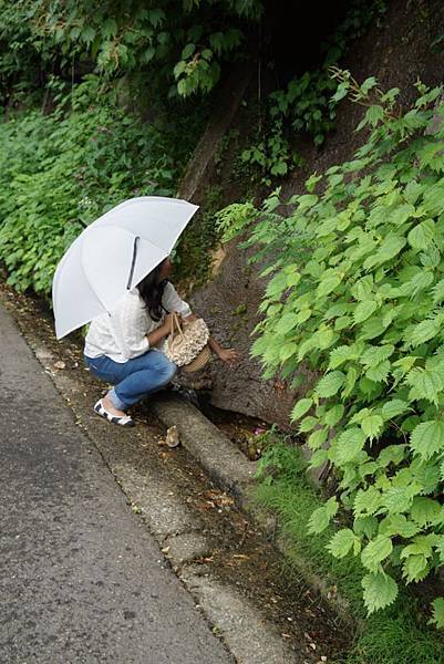 Day2:合掌村