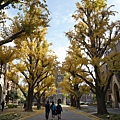 Day2_東京大學