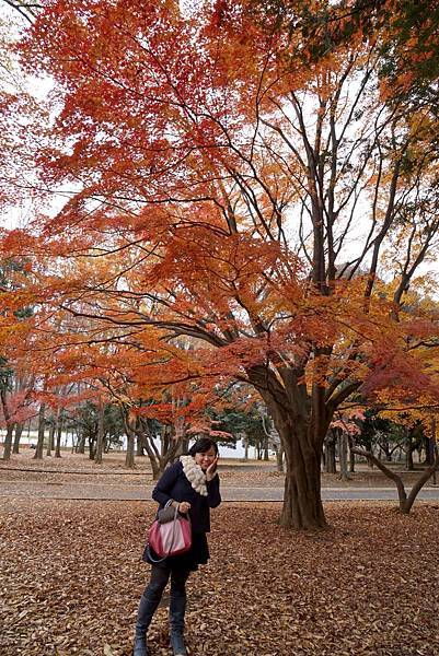 Day4_代代木公園