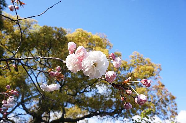 Day1:大濠公園