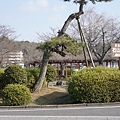 Day8_石山寺 東海道