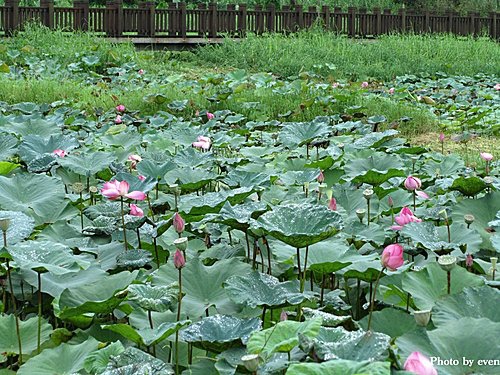 花蓮馬太鞍拉藍的家 14.jpg