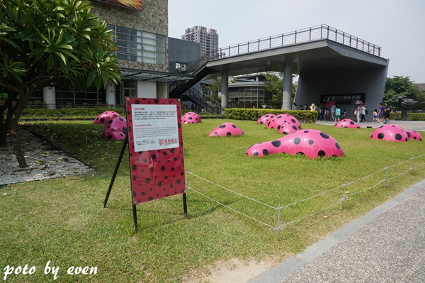 台中草間彌生002-20150716