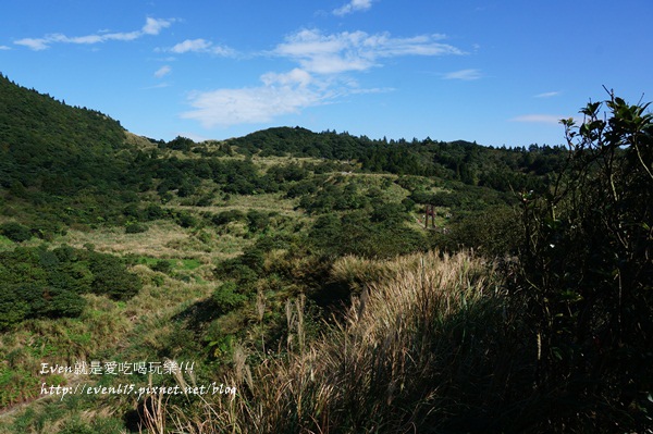 陽明山芒草036-20151128