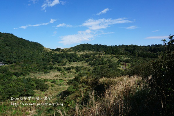 陽明山芒草037-20151128