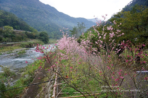 泡湯070-20160311.JPG