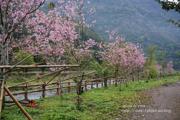 泡湯075-20160311.JPG