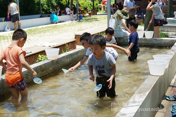 溝貝之家042-20160618.JPG