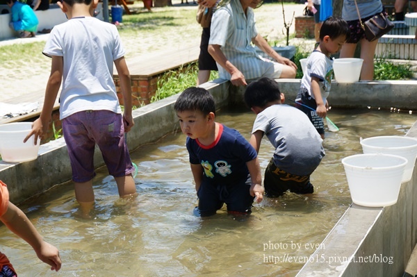 溝貝之家044-20160618.JPG