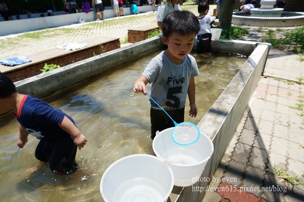 溝貝之家047-20160618.JPG