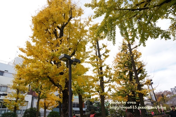 東京淺草寺043-20161127.JPG