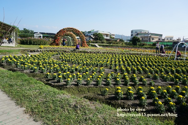 中社花園088-20161230.JPG