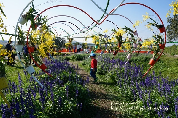 中社花園103-20161230.JPG