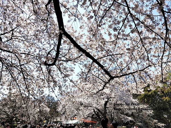 20190331日本之旅007-20190403.jpg