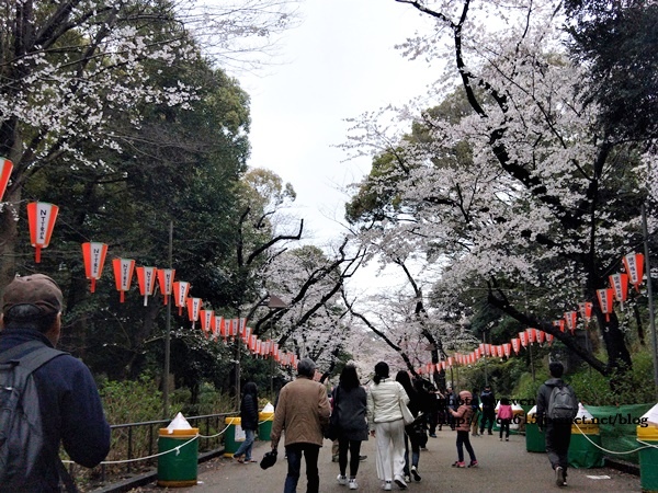 20190331日本之旅032-20190331.jpg