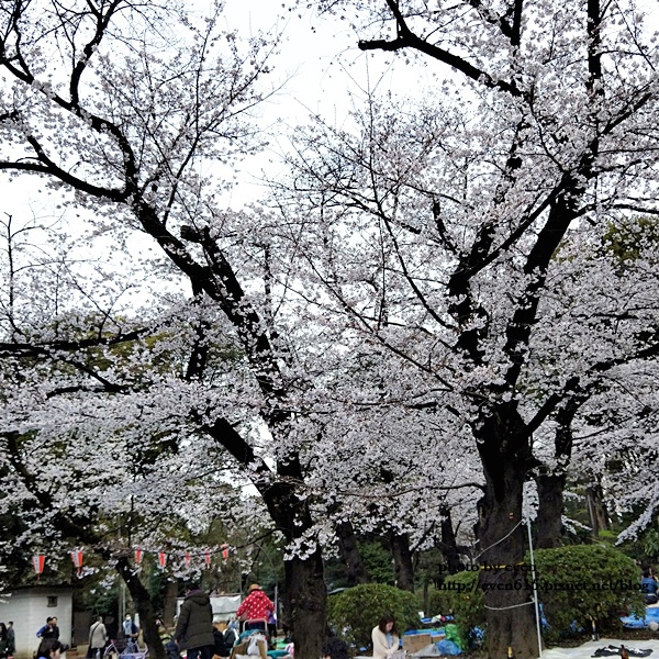 20190331日本之旅044-20190331.jpg