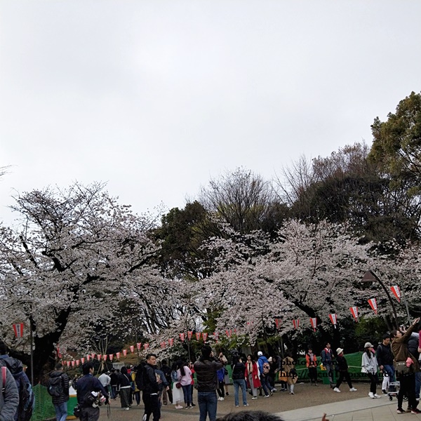 20190331日本之旅069-20190331.jpg