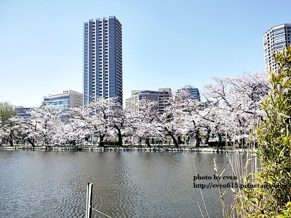 20190331日本之旅073-20190404.jpg