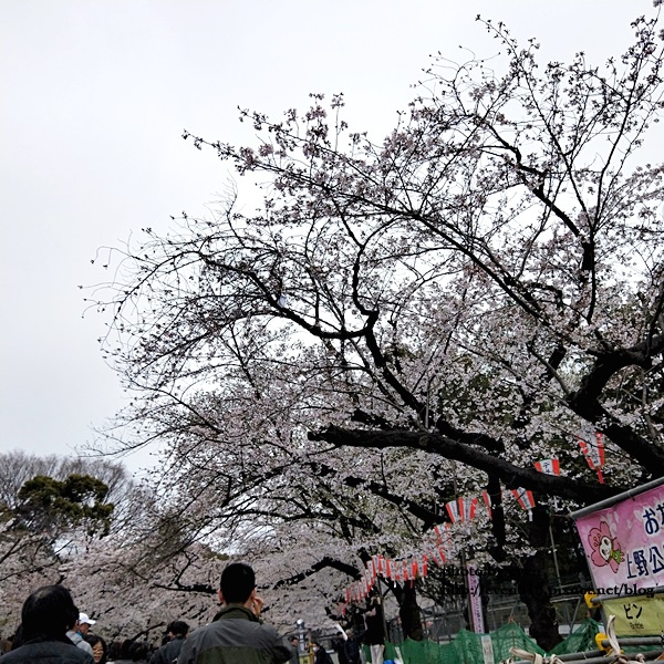 20190331日本之旅075-20190331.jpg