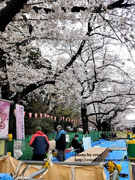 20190331日本之旅083-20190331.jpg