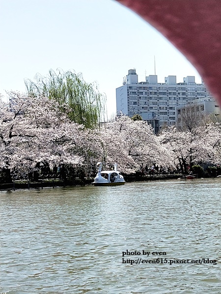 20190331日本之旅083-20190404.jpg