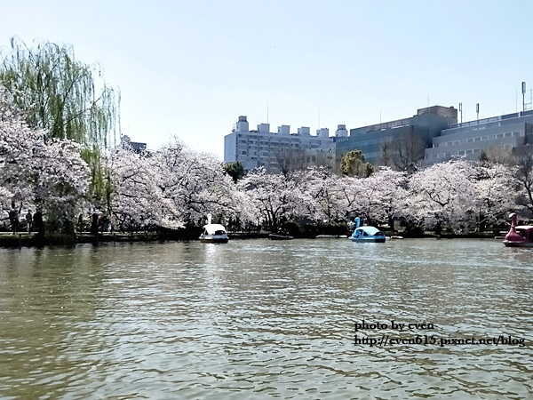 20190331日本之旅086-20190404.jpg