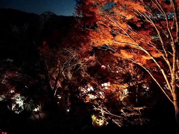 【2018年京都旅行】一個人獨旅賞楓~清水寺賞夜楓