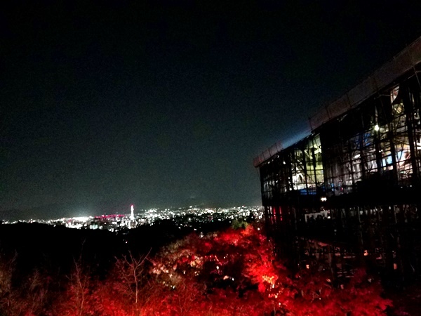 【2018年京都旅行】一個人獨旅賞楓~清水寺賞夜楓