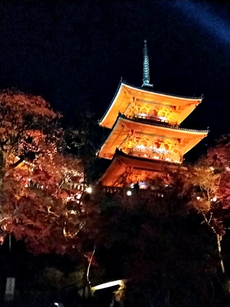 【2018年京都旅行】一個人獨旅賞楓~清水寺賞夜楓