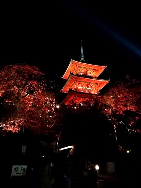 【2018年京都旅行】一個人獨旅賞楓~清水寺賞夜楓