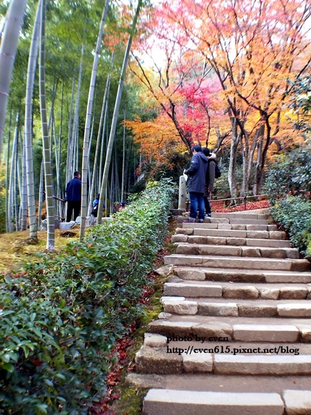 常寂光寺