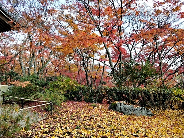 常寂光寺