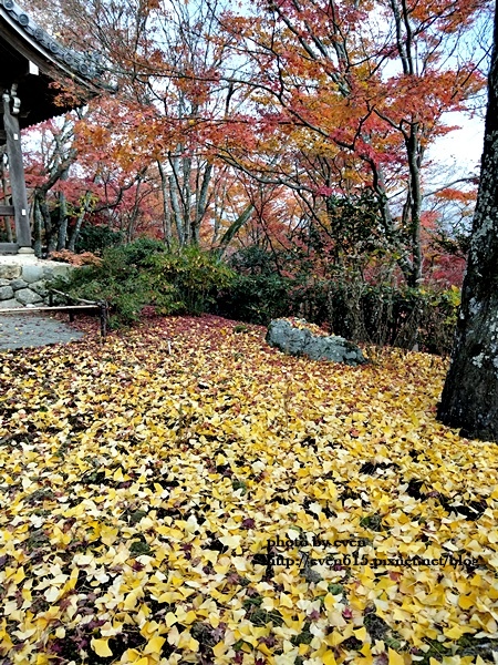 常寂光寺