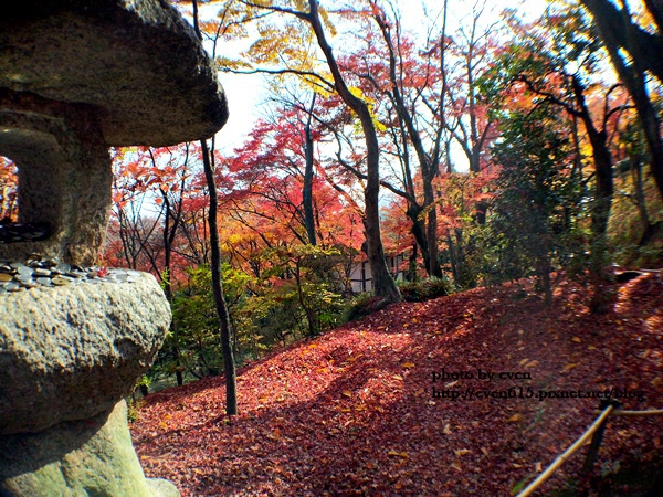 常寂光寺