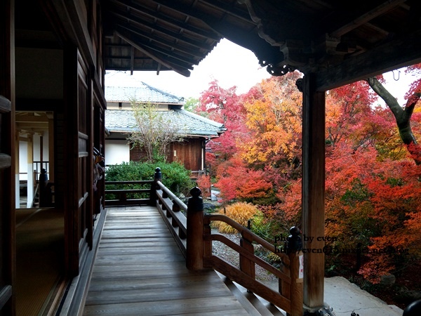 常寂光寺