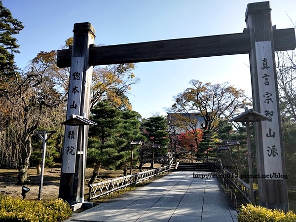 【2018年京都旅行】一個人獨旅賞楓~養源院&智積院