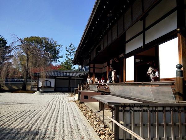 【2018年京都旅行】一個人獨旅賞楓~養源院&智積院