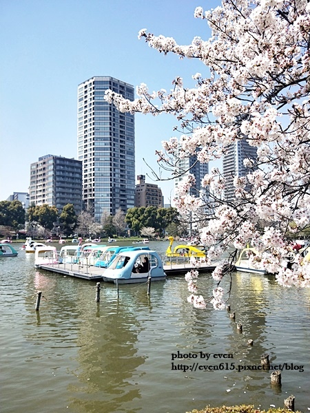 20190331日本之旅121-20190404.jpg