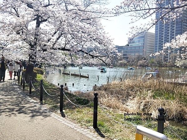 20190331日本之旅116-20190404.jpg