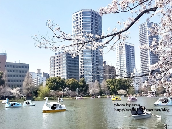 20190331日本之旅126-20190404.jpg