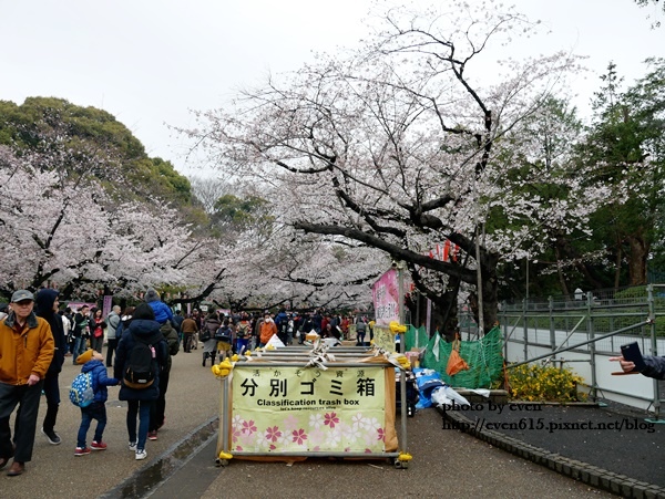 20190331日本之旅300-20190330.JPG