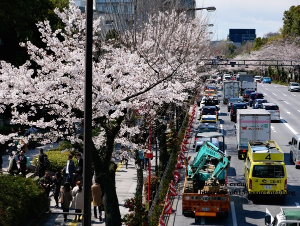 20190331日本之旅566-20190401.JPG