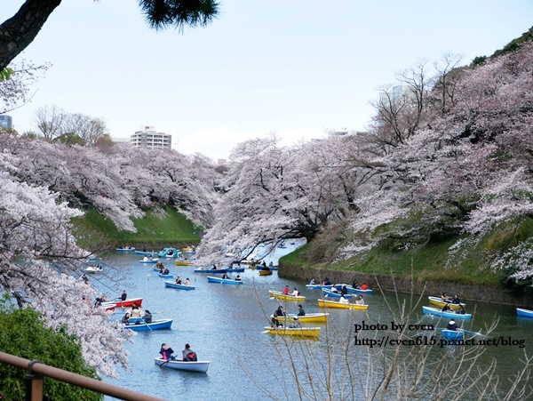 20190331日本之旅596-20190401.JPG