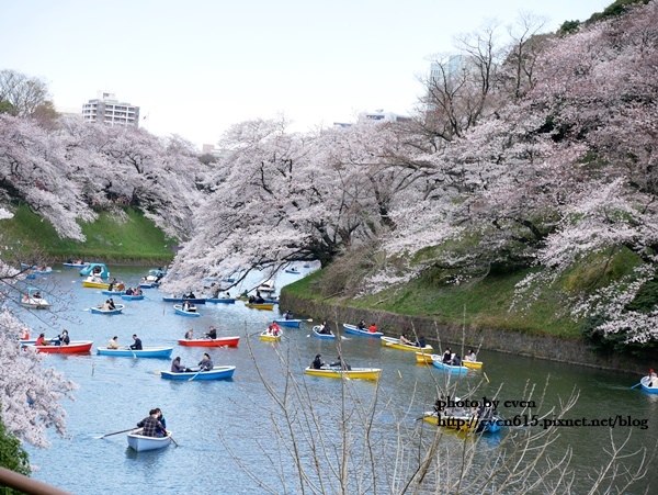 20190331日本之旅598-20190401.JPG