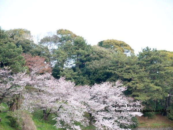 20190331日本之旅600-20190401.JPG