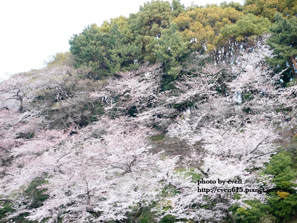 20190331日本之旅605-20190401.JPG